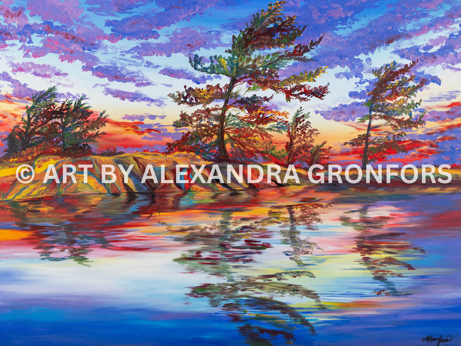 Montanari Papagallo 油彩画 50x70 cm Colourful and Vibrant Georgian Bay printable by art by Canadian